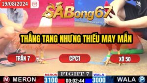 Trận 7 CPC1 19/8/2024 Anh Tý Đức Hòa Đá Xổ Sabong67