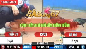 Trận 70 CPC3 11/8/2024 Anh Minh Đá Xổ Anh Tèo