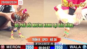 Trận 8 CPC1 29/8/2024 Anh Danh V.Lộc Đá Xổ Anh Cường