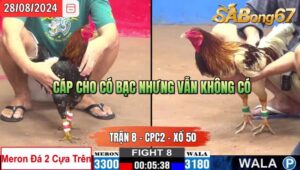 Trận 8 CPC2 28/8/2024 Anh Bảo Sting Đá Xổ Anh Trung