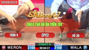 Trận 9 CPC2 9/8/2024 Anh Nhã Đá Xổ Anh Mỹ