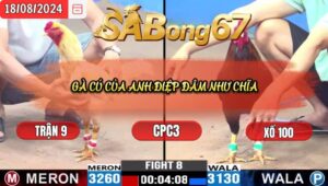 Trận 9 CPC3 18/8/2024 Anh Điệp Đá Xổ Anh Bảo Sting