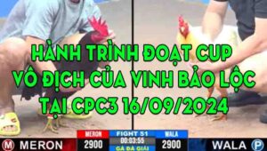 Hành Trình Anh Vinh Bảo Lộc Giành Cup Vô Địch Tại CPC3 Ngày 16/09/2024