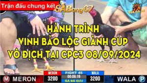 Hành Trình Vinh Bảo Lộc Giành Cup Vô Địch Tại CPC3 08/09/2024