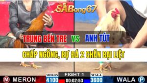 Trận 1 CPC2 29/09/2024 Anh Trung Bến Tre Đá Xổ Anh Tút