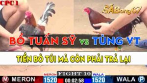 Trận 10 CPC1 09/09/2024 - Anh Tùng Vũng Tàu Cố Cầm Hòa Anh Bồ Tuấn Sỹ