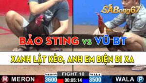 Trận 10 CPC2 20/09/2024 - Anh Bảo Sting Bị Anh Vũ Bến Tre Phản Kèo