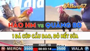 Trận 10 CPC3 19/09/2024 - Gà Anh Hào Hóc Môn 1 Đá Cúp Cầu Dao