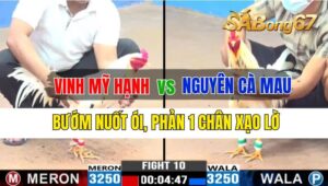 Trận 10 CPC3 28/09/2024 Anh Vinh Mỹ Hạnh Đá Xổ Anh Nguyên Cà Mau