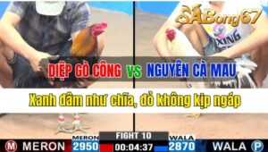 Trận 10 CPC3 30/09/2024 Anh Diệp Gò Công Đá Xổ Anh Nguyên Cà Mau