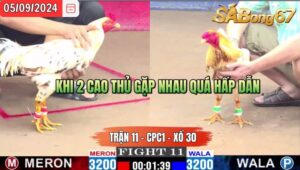 Trận 11 CPC1 05/09/2024 Anh Hòa Đá Xổ Anh Minh Long An