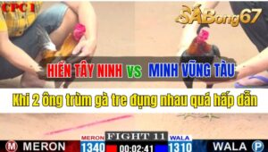 Trận 11 CPC1 30/09/2024 Anh Hiền Tây Ninh Đá Xổ Anh Minh Vũng Tàu