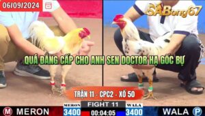 Trận 11 CPC2 06/09/2024 Anh Sen Vĩnh Châu Đá Xổ Anh Hiếu