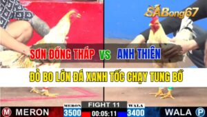 Trận 11 CPC2 25/09/2024 Anh Sơn ĐT Đá Xổ Anh Thiên