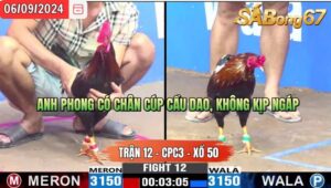 Trận 12 CPC3 06/09/2024 Anh Phong ĐT Đá Xổ Anh Phước SG