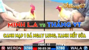 Trận 12 CPC3 13/09/2024 - Gà Anh Minh Long An Canh Nạp 1 Cây Hết Cứu