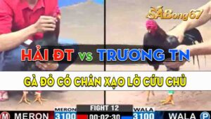 Trận 12 CPC3 22/09/2024 - Anh Hải Đồng Tháp Và Anh Trương Tây Ninh