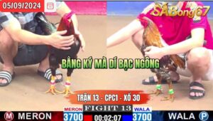 Trận 13 CPC1 05/09/2024 Anh Cọp Em Đá Xổ Anh Luân