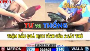 Trận 13 CPC1 07/09/2024 - Gà Anh Tư Đá Đâm Như Sát Thủ