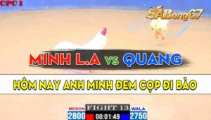 Trận 13 CPC1 19/09/2024 - Anh Minh Long Anh Đem Mẻ Cọp Đi Bào