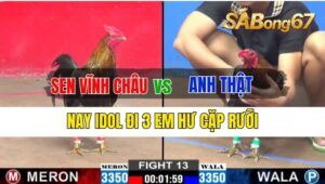 Trận 13 CPC2 29/09/2024 Anh Sen Vĩnh Châu Đá Xổ Anh Thật