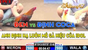 Trận 14 CPC1 10/09/2024 - Anh Định Coca Hạ Mẻ Gà Hiệu Của Anh Đen