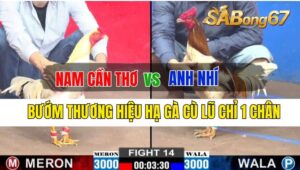 Trận 14 CPC2 27/09/2024 Anh Nam CT Đá Xổ Anh Nhí