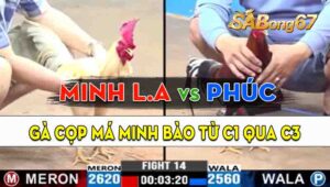 Trận 14 CPC3 10/09/2024 - Gà Cọp Minh Long An Bào Từ C1 Qua Tới C3