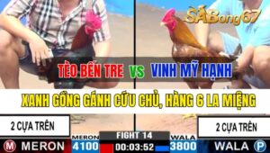 Trận 14 CPC3 27/09/2024 Anh Tèo Bến Tre Đá Xổ Anh Vinh Mỹ Hạnh