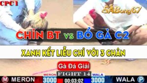 Trận 14 Giải CPC1 21/09/2024 - Gà Anh Chín Bến Tre Nạp Đúng 3 Chân