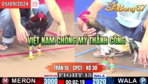 Trận 15 CPC1 05/09/2024 Anh Khánh BD Đá Xổ Anh Tư