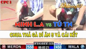 Trận 15 CPC1 09/09/2024 - Anh Tú Tây Ninh Bị Dí Ăn 5 Và Cái Kết