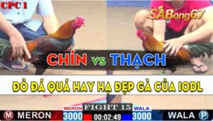 Trận 15 CPC1 17/09/2024 - Gà Anh Chín Hạ Luôn Mẻ Hiệu Của Idol