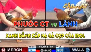 Trận 15 CPC2 22/09/2024 - Anh Lành Hạ Luôn Gà Cọp Của Anh Phước Cần Thơ