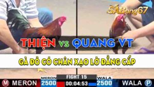 Trận 15 CPC3 13/09/2024 - Gà Anh Thiện Có Chân Đá Phản Thắng Ngược