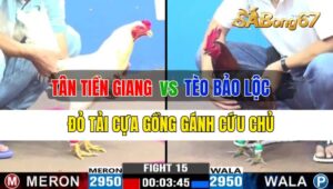 Trận 15 CPC3 25/09/2024 Anh Tân Tiền Giang Đá Xổ Anh Tèo Bảo Lộc