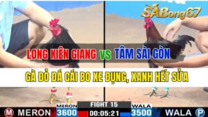 Trận 15 CPC3 27/09/2024 Anh Long Kiên Giang Đá Xổ Anh Tâm Sài Gòn