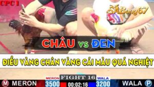 Trận 16 CPC1 03/09/2024 - Gà Anh Đen Nhìn Quá Cay Nghiệt