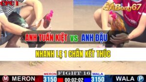 Trận 16 CPC1 24/09/2024 Anh Tuấn Kiệt Đá Xổ Anh Đậu