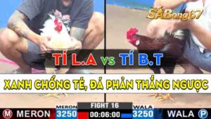 Trận 16 CPC3 02/09/2024 - Anh Tí Bến Tre Hạ Đẹp Anh Tí Long An