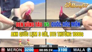 Trận 16 CPC3 25/09/2024 Anh Đen Vũng Tàu Đá Xổ Anh Quốc Hóc Môn