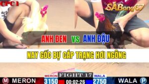 Trận 17 CPC1 24/09/2024 Anh Đen Đá Xổ Anh Đậu