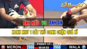 Trận 17 CPC2 25/09/2024 Anh Hiếu Đá Xổ Anh An