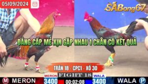 Trận 18 CPC1 05/09/2024 Anh Tuấn Đá Xổ Anh Cọp Em