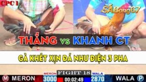 Trận 18 CPC1 10/09/2024 - Gà Anh Khanh Cần Thơ Đâm Như Điện 3 Pha