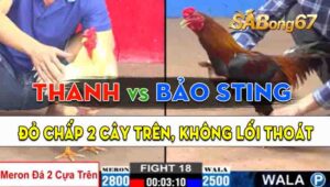 Trận 18 CPC2 15/09/2024 - Anh Bảo Sting Đá Anh Thanh Không Kịp Thở