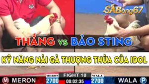 Trận 18 CPC2 20/09/2024 - Tài Nghệ Nài Gà Của Bảo Sting Quá Thượng Thừa