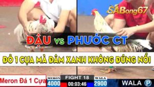 Trận 18 CPC2 22/09/2024 - Anh Đậu Chấp Anh Phước Cần Thơ 1 Cựa