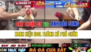 Trận 18 CPC2 25/09/2024 Anh Thuận CT Đá Xổ Anh Bảo Sting