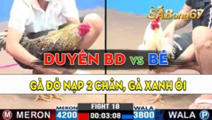 Trận 18 CPC3 14/09/2024 - Gà Anh Duyên Bình Dương Nạp Chỉ 2 Cước